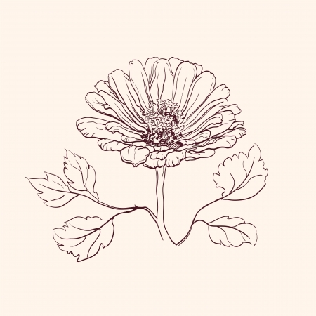 Beautiful Flowers  illustrationのイラスト素材