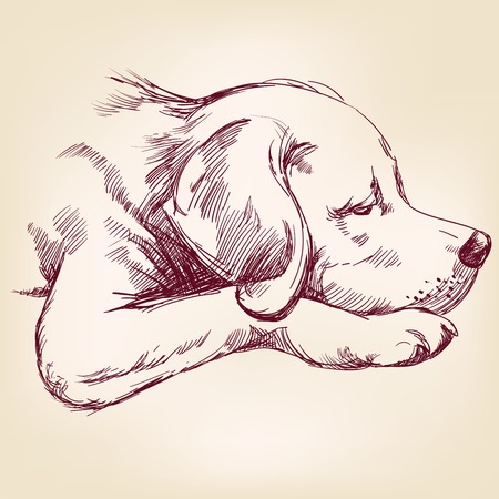 dog hand drawn vector llustration realistic sketchのイラスト素材