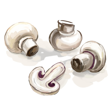 mushroom vector illustration  hand drawn  painted watercolorのイラスト素材