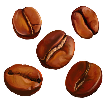 coffee beans vector illustration  hand drawn  painted watercolorのイラスト素材