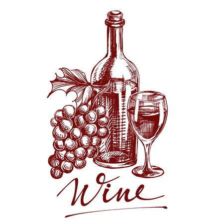 collection wine hand drawn vector llustration realistic sketchのイラスト素材