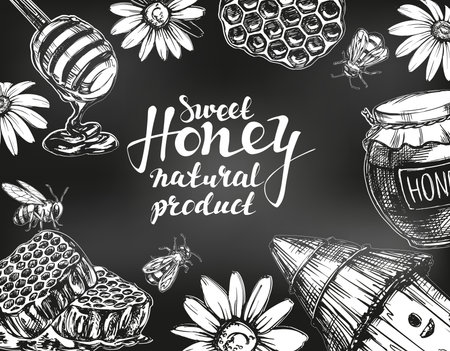 Honey frame drawn with chalk on blackboard. Design elements set. Detailed engraved. Vintage hand...