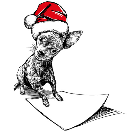 Dog in Santa stocking hat, Santa Claus, Christmas symbol hand drawn vector illustration realistic sketchのイラスト素材