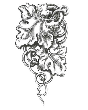 grape vine, grape, hand drawn vector illustration realistic sketchのイラスト素材