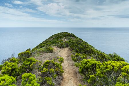 Monte da Guia, Reserva Natural das Caldeirinhas, Faial, Azores, Portugalの写真素材