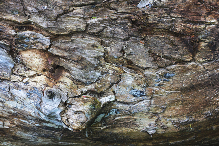 Old wood plank texture backgroundの写真素材
