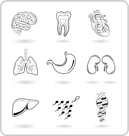 Medical icons. Black and white. The vector format is in my portfolio.のイラスト素材