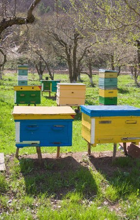 different kinds of beehives situated in the garden