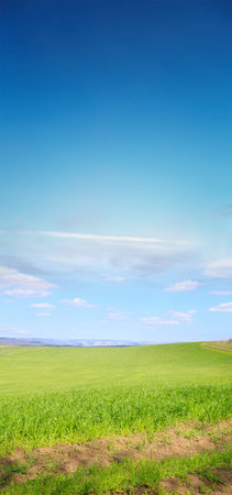 Green field and blue skyの写真素材