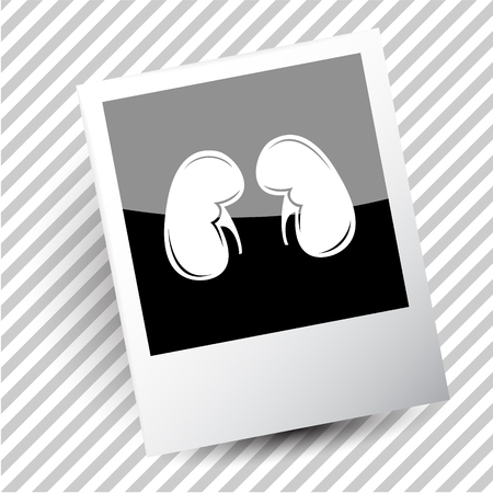 kidneys. Photoframe.のイラスト素材
