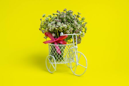 A toy bike carries a flowers. The idea for a postcard. Yellow background. Minimalism.の写真素材