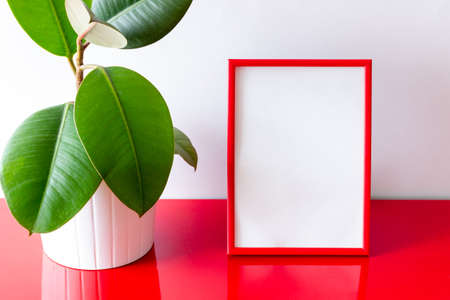 Red frame on a white background with a flower. design. Mock up. copy spaceの写真素材