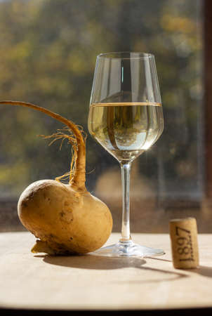 A glass of white wine in front of the window. alcohol. minimalismの写真素材