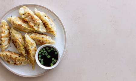 Fried dumplings with soy sauce. Gyoza. healthy eating. Asian foodの写真素材