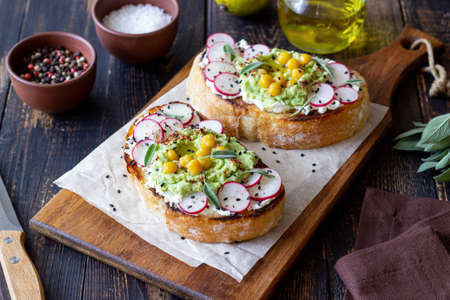 Bruschetta with guacamole, radish, white cheese, chickpeas and sage. Vegetarian food. Sandwich. Italian foodの写真素材