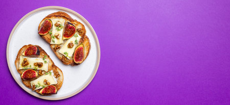 Bruschetta with brie cheese, figs, nuts, and honey. Vegetarian food. Appetizerの写真素材