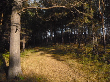 autumn sunのeditorial素材