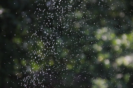 Drops of rain falling outside the window on the blurred background of green leaves of treesの写真素材