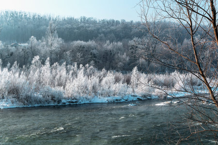 <p>Winter landscape on a snowy river, ice. Trees, nature, water, winter.</p>