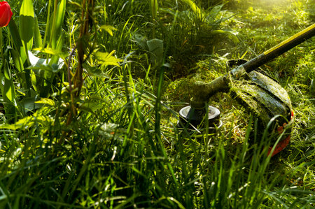 Moving fresh summer grass in the garden with a trimmer. nature workの写真素材