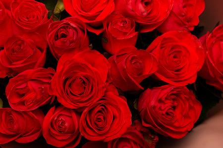 Close up of a bouquet of red roses. concept of loveの写真素材