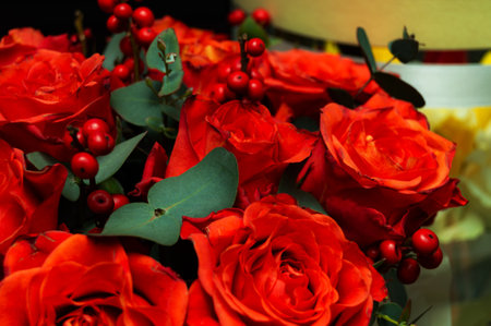 Macro of red and orange roses with red berries on a blurred background. The concept of love. Women's dayの写真素材