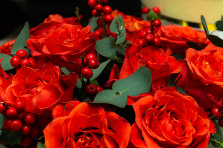 Macro of red and orange roses with red berries on a blurred background. The concept of love. Women's dayの写真素材
