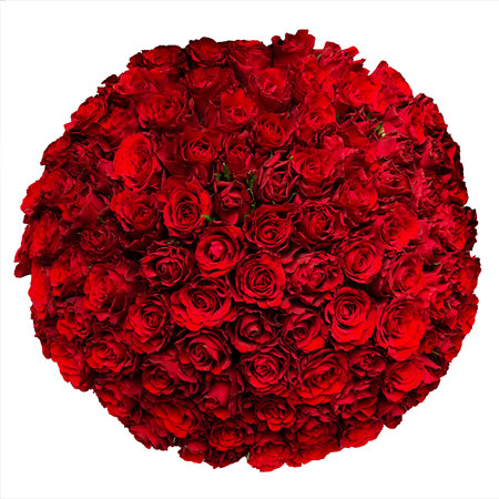 Isolated bouquet of red roses on a white background. The concept of love. Texture, women's dayの写真素材
