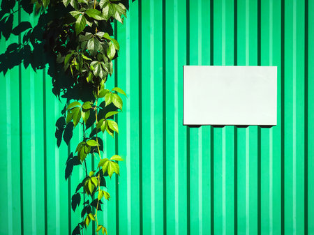 Background is a green tin fence with greenery with a blank sheet for copy space. Design conceptの写真素材