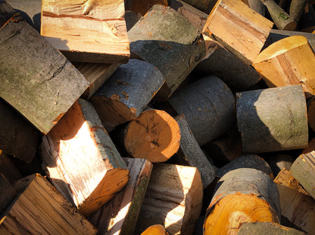 Many large pieces of beech firewood cut into pieces. Background, the concept of wood productionの写真素材