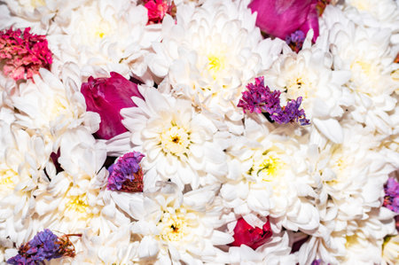 Background of white chrysanthemum flowers in a bouquet, top viewの写真素材
