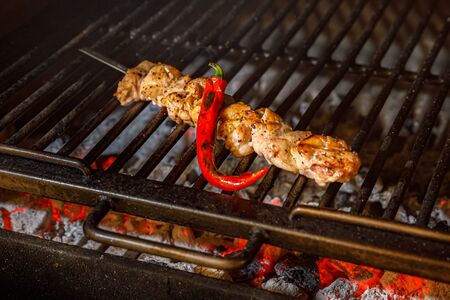 Grilled chicken kebab with hot red pepper on burning charcoalの写真素材