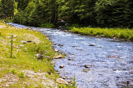 Creek of Rausor Dam in the mountains of Iezer, Romania. Small stream of water in the forest.の写真素材