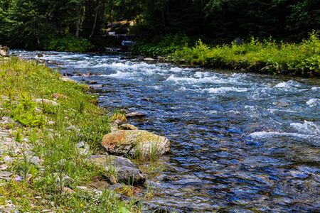 Creek of Rausor Dam in the mountains of Iezer, Romania. Small stream of water in the forest.の写真素材