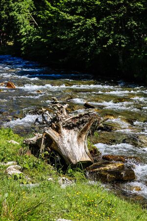Creek of Rausor Dam in the mountains of Iezer, Romania. Small stream of water in the forest.の写真素材