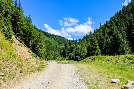 Landscape photo of Iezer Mountains in Romania.の写真素材