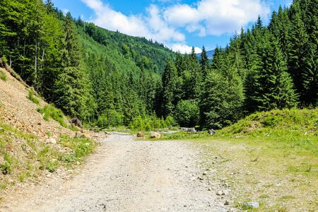 Landscape photo of Iezer Mountains in Romania.の写真素材