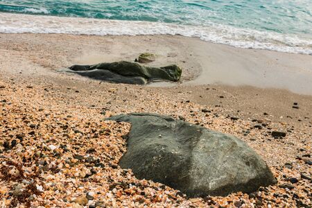 The famous Shell Beach, in St. Barthâs Island (St. Bartâs Island) Caribbean.の写真素材