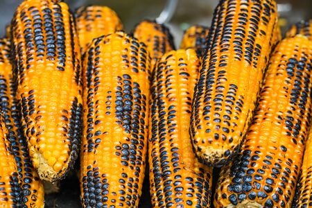 Grilled, roasted sweet corn ready to sell at a street food festivalの写真素材