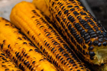 Grilled, roasted sweet corn ready to sell at a street food festival