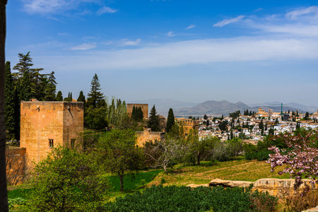 Panoramic scenic view of Alhambra Palace in Granada. Andalucia, Spain.のeditorial素材