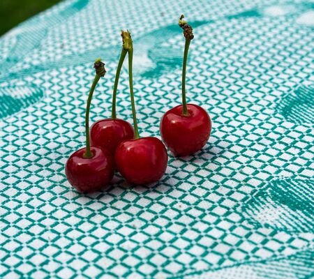 Red fresh cherries. Close up photo of cherries,の写真素材