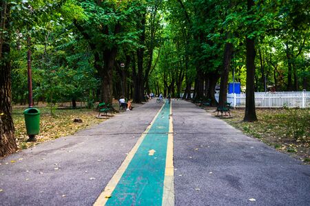 People having fun in King Mihai I park (Herastrau park) in Bucharest, Romania, 2019.の写真素材