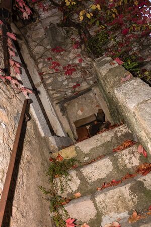 Old stairs and fall red leaves on the ground  in the picturesque medieval village of Eze, France.の写真素材