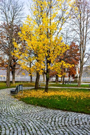 Autumn season. Colorful trees and fallen leaves in autumn park. Beautiful autumn path.の写真素材