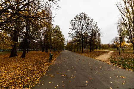 Morning, alleys of Izvor Park. People running, walking, going to work in Bucharest, Romania, 2019のeditorial素材