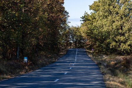 Autumn concept.  Autumn composition.  Autumn empty road in forest.の写真素材