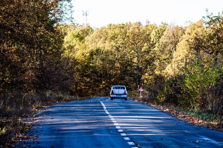 White car on autumn road in forest. Autumn season with sunlight. Colorful trees and fallen leaves in autumn forest.のeditorial素材