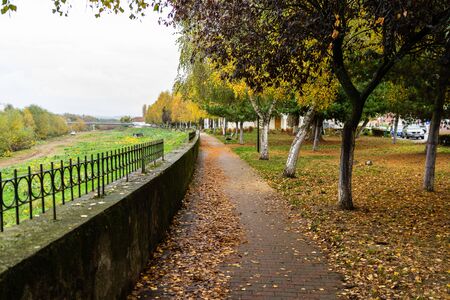Autumn season. Colorful trees and fallen leaves in autumn park. Beautiful autumn path.の写真素材