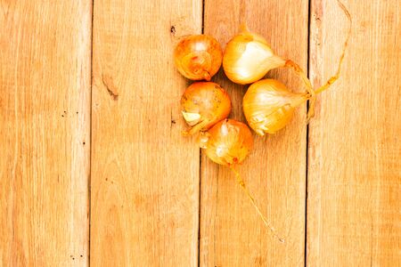 Detail view of onions on wooden background, top view, copy space for text, close up photoの写真素材